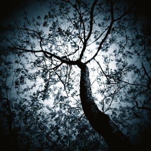 autumnblue-copy