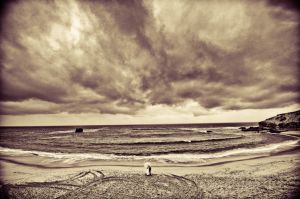 DSC_8321-Edit.jpg