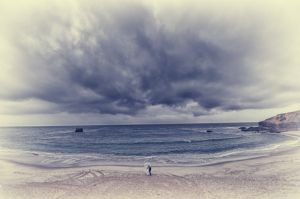 DSC_8321b.jpg