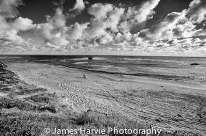 DSC_4505-Edit.jpg