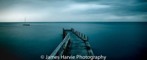 HarvieJVIC-Image-B.jpg