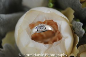 DSC_3512.jpg
