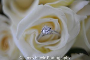 DSC_9806.jpg
