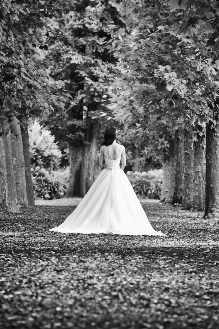 Fitzroy Gardens Photography