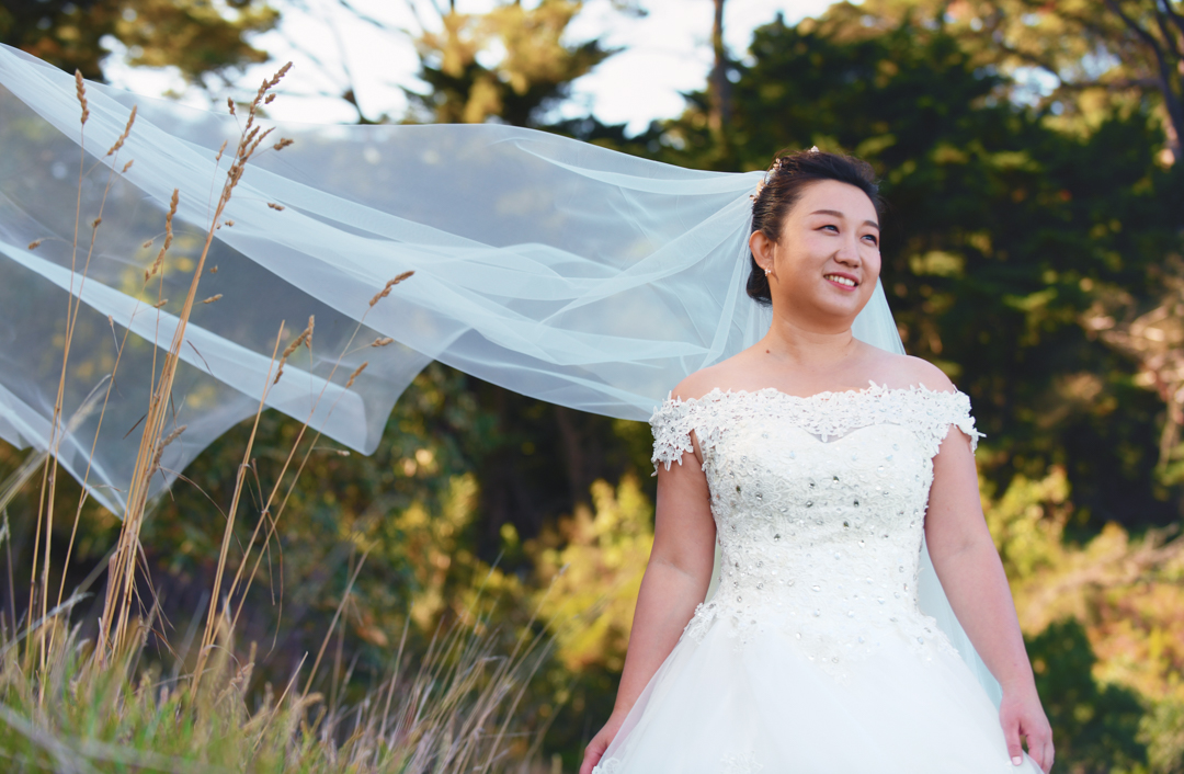 D85_3017-Edit